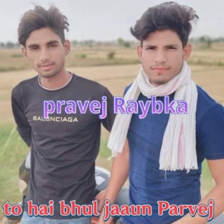 To Hai Bhul Jaaun Parvej