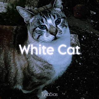 White Cat