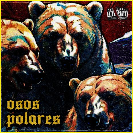 OSOS POLARES | Boomplay Music