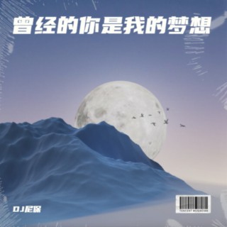 曾经的你是我的梦想 lyrics | Boomplay Music