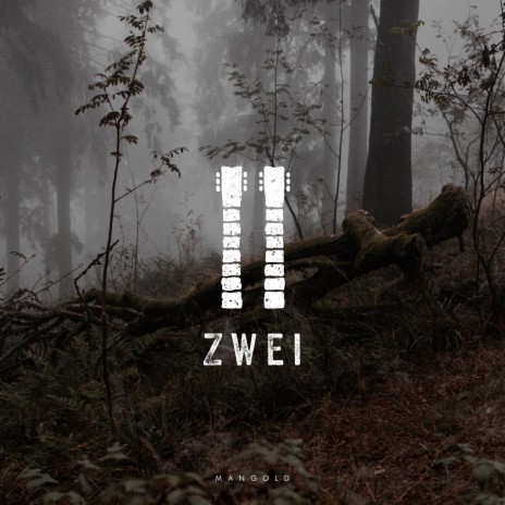 Zwei | Boomplay Music