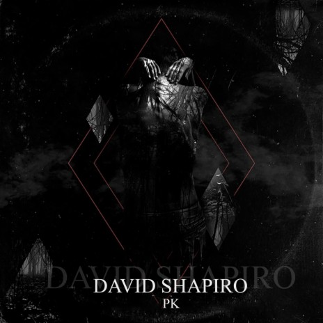 David Shapiro | Boomplay Music
