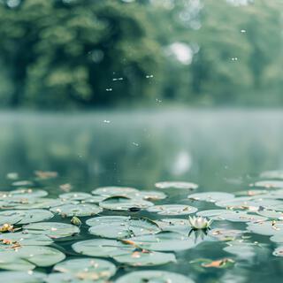 Where Rain Meets Zen: Serenity in the Storm at the Ancient Temple