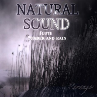 Natural sound Flute Tunder and rain