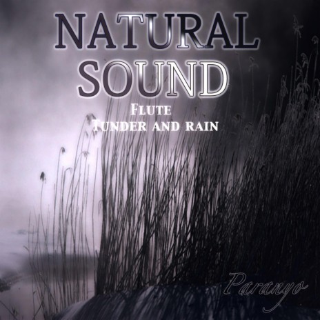 Natural sound Flute Tunder and rain | Boomplay Music