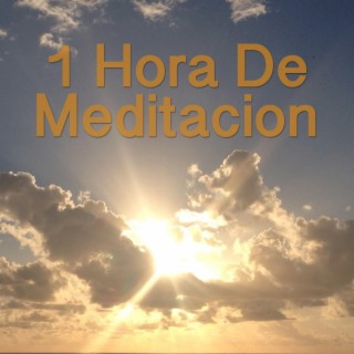 1 Hora De Meditación