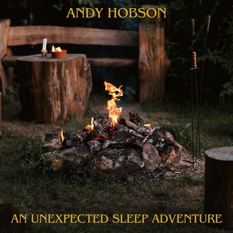 An Unexpected Sleep Adventure | Boomplay Music