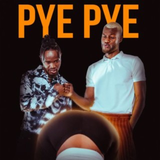 Pye Pye Ft. Aqualaskin lyrics | Boomplay Music