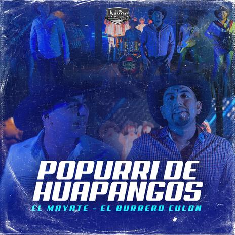 Popurri de Huapangos el mayate-burrero culon | Boomplay Music