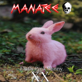 Fluffy Pink Bunny XX