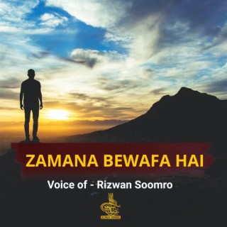 Zamana Bewafa Hai