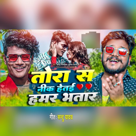 Tora Se Nik Hetai Hamar Bhatar ft. Sunita Sargam | Boomplay Music