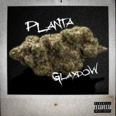 Planta ft. Tropa da W&S | Boomplay Music