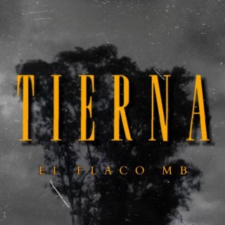 Tierna