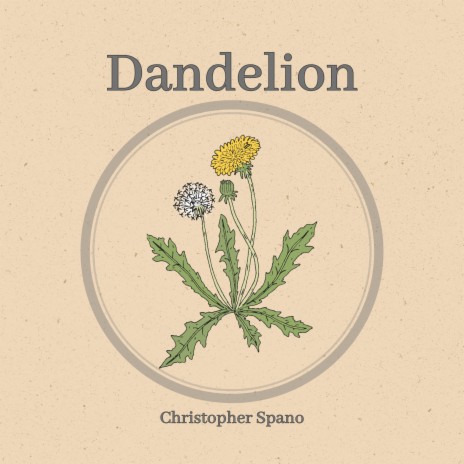 Dandelion | Boomplay Music