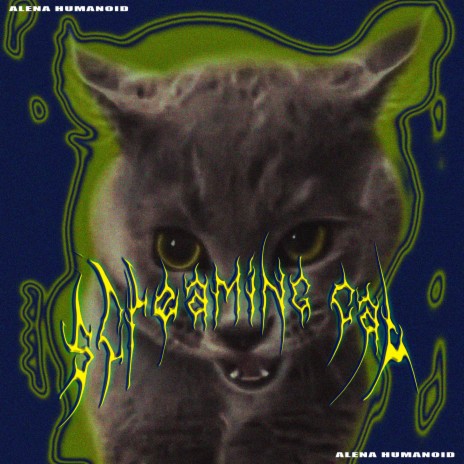 Screaming Cat | Boomplay Music