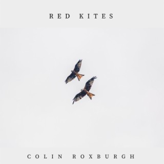 Red Kites lyrics | Boomplay Music