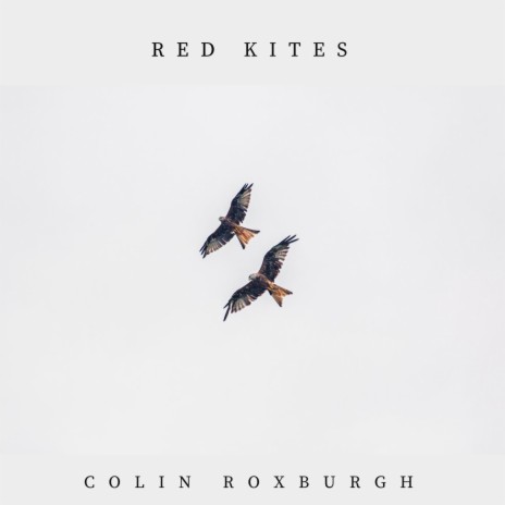 Red Kites | Boomplay Music