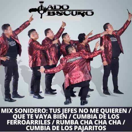 Tus Jefes No Me Quieren / Que Te Vaya Bien / Cumbia De Los Ferroarriles / Rumba Cha Cha Cha / Cumbia De Los Pajaritos | Boomplay Music