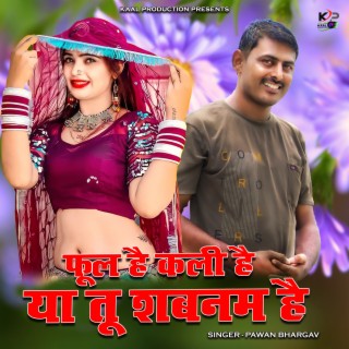 Phool Hai Kali Hai Ya Tu Shabnam Hai