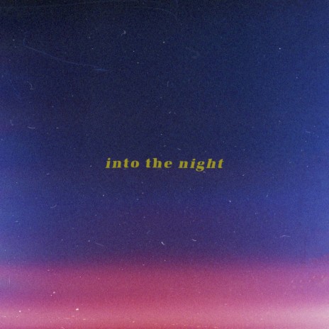 Into The Night | Boomplay Music