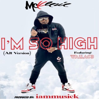 I'm So High (Alt) ft. Wallac3 lyrics | Boomplay Music