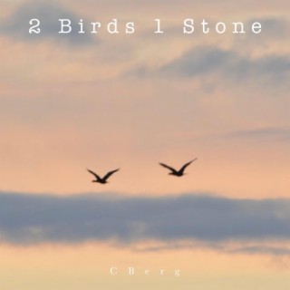 2 Birds 1 Stone