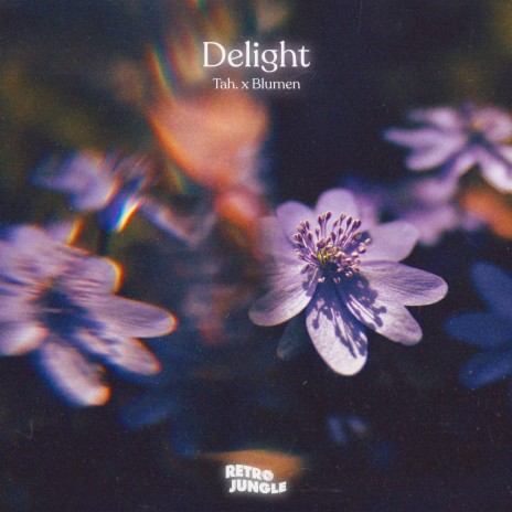 Delight ft. Blumen | Boomplay Music