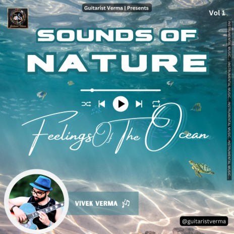 Feelings Of The Ocean (Sounds of Nature Vol 1) | Boomplay Music