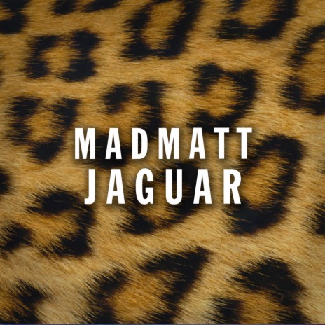Jaguar (Original Mix)