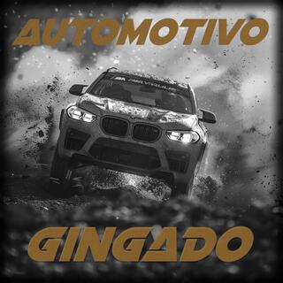 AUTOMOTIVO GINGADO (Instrumental)