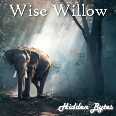 Wise Willow | Boomplay Music