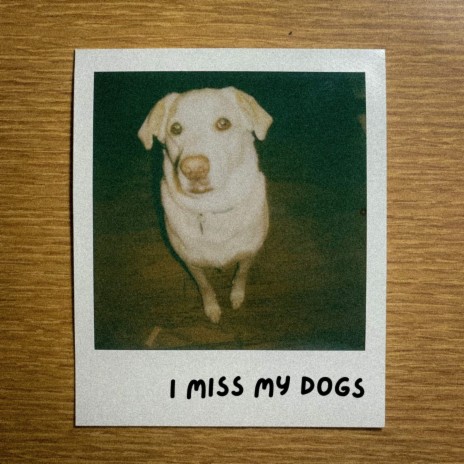 I Miss My Dogs | Boomplay Music