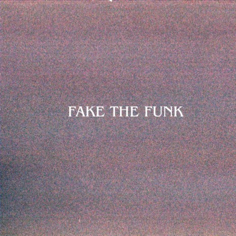 Fake the Funk | Boomplay Music