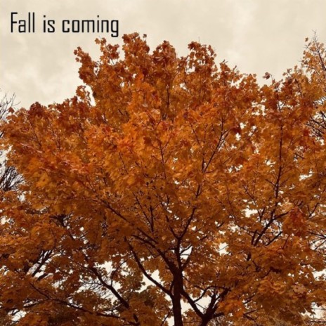 Fall is coming | Boomplay Music