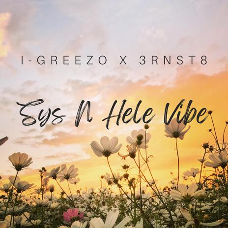 Sys N Hele Vibe (Radio Edit) ft. Danwill Riddims | Boomplay Music