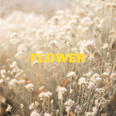 Flower | Boomplay Music