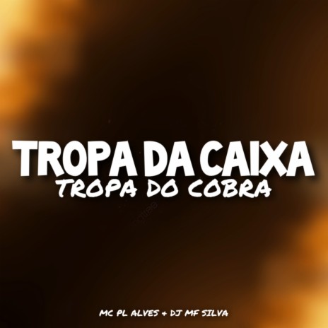 TROPA DA CAIXA, TROPA DO COBRA ft. mc pl alves | Boomplay Music