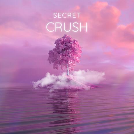 Secret Crush | Boomplay Music