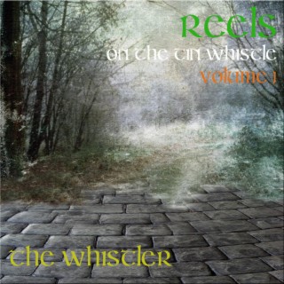 Reels on the Tin Whistle: Volume 1