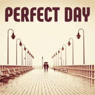 Perfect Day