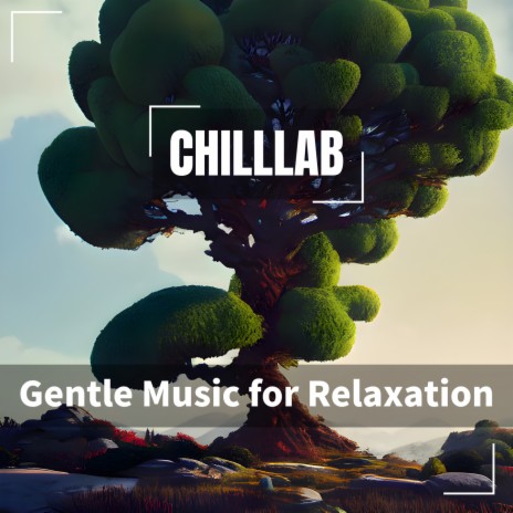 Tranquil Repose | Boomplay Music