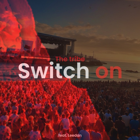 Switch On ft. Leedan | Boomplay Music