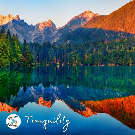The River and Tranquility's Voice | Boomplay Music