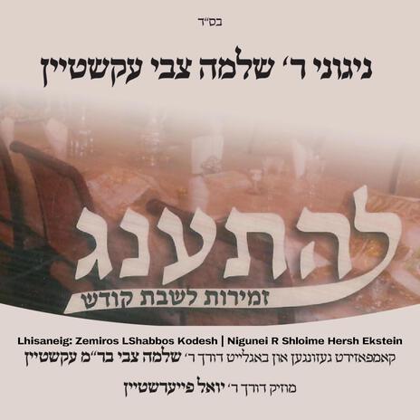 Meyein Olam Haba ft. Shloime Hersh Ekstein