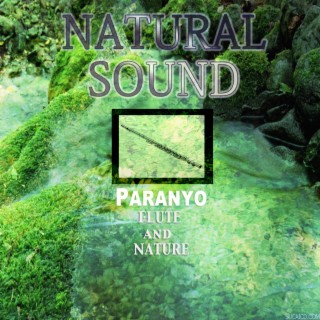 Natural Sound Flute and Nature