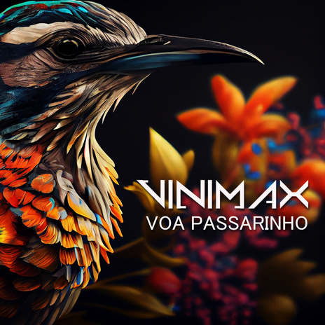 Voa passarinho | Boomplay Music