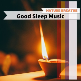 Good Sleep Music