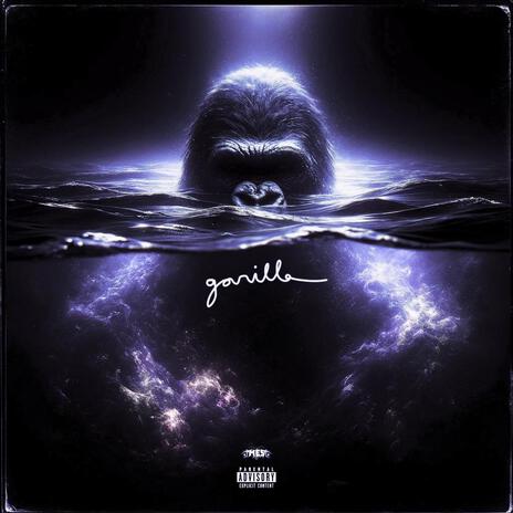 Gorilla | Boomplay Music