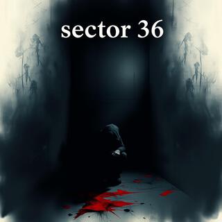 Sector 36